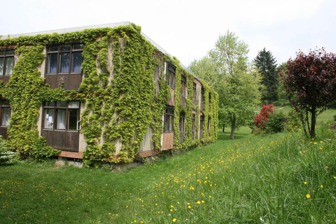 Parkblick Appartement - Entspannung pur! Ober-Hambach Exterior foto